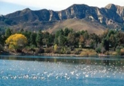 Castaic Lake