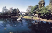 La Brea Tar Pits