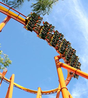 Magic Mountain