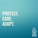 animal shelter logo